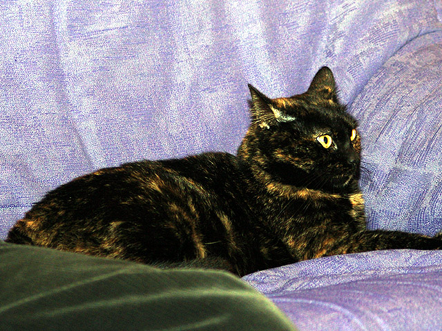 DSC02696